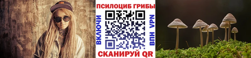 хочу   гидра рабочий сайт  Псилоцибиновые грибы Cubensis  Нижний Ломов 